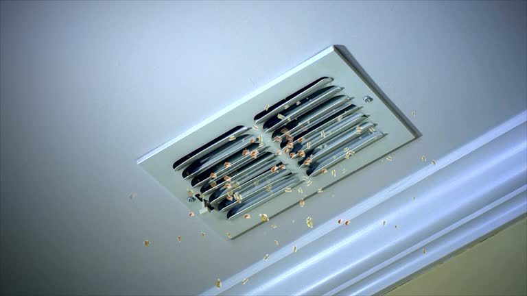 Best Ventilation Cleaning Services  in Cameron, WI